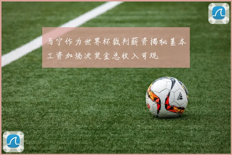 马宁作为世界杯裁判薪资揭秘基本工资加场次奖金总收入可观