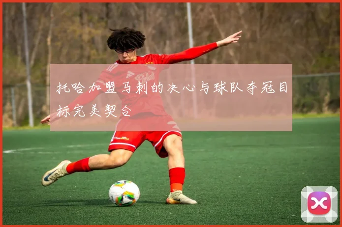 托哈加盟马刺的决心与球队夺冠目标完美契合