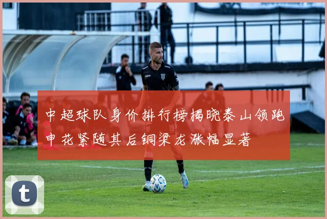 中超球队身价排行榜揭晓泰山领跑申花紧随其后铜梁龙涨幅显著