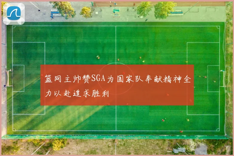 篮网主帅赞SGA为国家队奉献精神全力以赴追求胜利